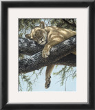 Lake Manyara Lioness Posters by Guy Coheleach