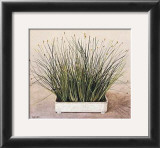 Bare Grass II Art by Galley 