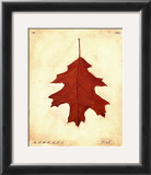 Oak Leaf Print by Meg Page