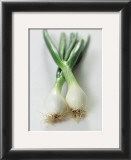 Spring Onion Prints by Sara Deluca