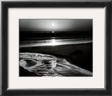 Birds on a Beach Poster by Ansel Adams