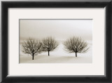 Snow Trees, New York Poster by Dickens 