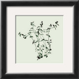 Thyme Posters by Nina Farrell