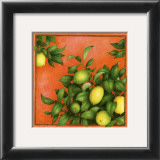 Citrons Art by Vincent Jeannerot