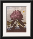 The Pontic Rhododendron Prints by Dr. Robert J. Thornton