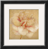 Love Letters I Print by Linda Maron