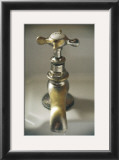 Bronze Faucet Prints by Calixto Berrocal