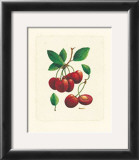 Cherries Art by Linda Casey