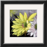 Flor Amarilla Poster by Celeste 