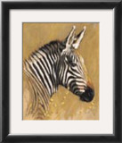 Zebra Prints by Kim Donaldson