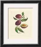 Plums Posters by Linda Casey