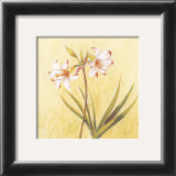 Lilas Composicion I (detail) Prints by Atenea 