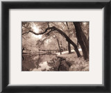 Daydream Prints by Mike Jones
