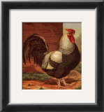 Rose-Combed Dorking Cock Posters by Cassell's Poultry Book 
