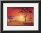 Etosha Prints by Leon Wells