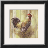 Coq Poster by Clauva 