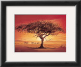 Namib Posters by Leon Wells