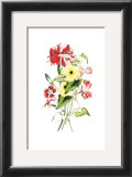 Flowers Print by Louise Anne Twarmley
