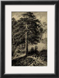 Wild Pine Prints by Ernst Heyn