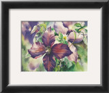 Purple Clematis Prints by Peggy Thatch Sibley