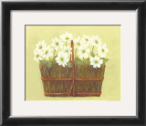 White Flowers in Wicker Basket Poster by Cuca Garcia