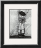 Gerbera Daisies Posters by Nancy Gillespie