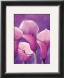 Energy in Pink Poster by Alicia Sloan