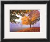 Autumn Mist Posters by Mike Jones
