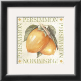 Persimmon Print by Michael Alexander