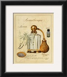 Aromatherapie, Lavande Posters by Laurence David