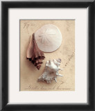 Seaside Collection II Print by Heather Johnston