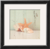 Sea Still II Prints by Tammy Repp
