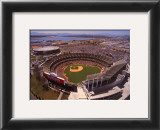 Oakland: Network Associates, Athletics Baseball Print by Mike Smith