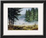 Morning in mist Poster by Reint Withaar