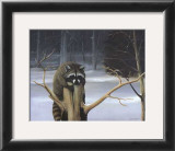 Mischief on a Stump Art by David Jean