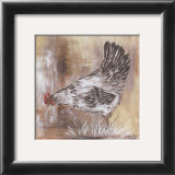Poule Blanche Posters by Clauva 