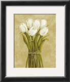 White Tulips in String Posters by Cuca Garcia