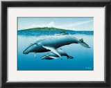 New Birth Prints by Mark Mackay