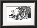 Gracie the Bulldog Print by Beth Thomas