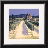 Vineyard Shadows Poster by David Short