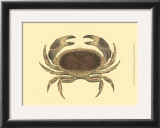 Antique Crab IV Print by James Sowerby