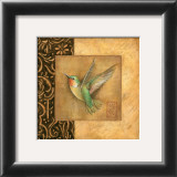 Hummingbird Square Prints by Susan Winget