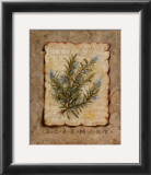 Vintage Herbs, Rosemary Prints by Constance Lael