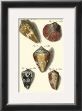 Neptune's Treasure I Print by Kruger 