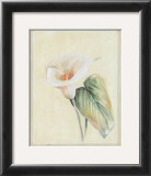 Calla Lily II Art by Paul Hargittai