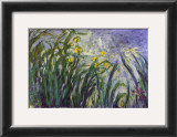 Les iris Posters by Claude Monet