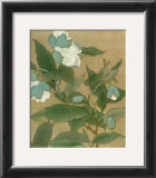 Magnolia and Praying Mantis Prints