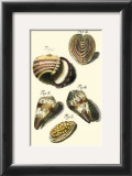 Neptune's Treasure II Prints by Kruger 