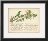 Bee Bird Verse Art by Nathaniel Tweet