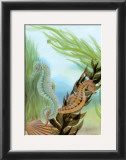Seahorse Serenade IV Art by Charles Swinford